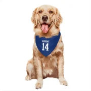 Alex Burrows Vancouver Canucks  Dog & Cat Pet Bandana - Blue