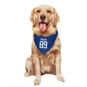 Alexander Mogilny Vancouver Canucks  Dog & Cat Pet Bandana - Blue