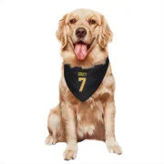 Carson Soucy Vancouver Canucks  Dog & Cat Pet Bandana - Black