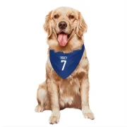 Carson Soucy Vancouver Canucks  Dog & Cat Pet Bandana - Blue