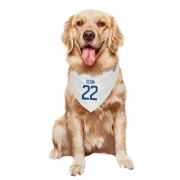 Daniel Sedin Vancouver Canucks  Dog & Cat Pet Bandana - White