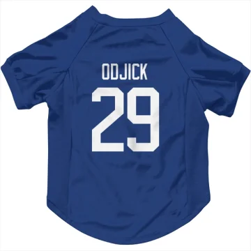 Gino Odjick Vancouver Canucks  Dog & Cat Pet Jersey - Blue