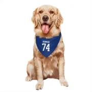 Jake DeBrusk Vancouver Canucks  Dog & Cat Pet Bandana - Blue